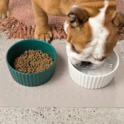 Waggo Ripple Solid Ceramic Dog & Cat Bowl -Cozy Paws 277046 PT4. AC SS1800 V1698094807