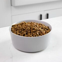 Waggo Simple Solid Ceramic Dog & Cat Bowl -Cozy Paws 277061 PT2. AC SS1800 V1697132261