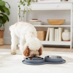 Frisco Silicone Stainless Steel Double Diner Slow Feeder Dog & Cat Bowl, Grey, 3 Cup -Cozy Paws 277549 PT2. AC SS1800 V1630346823