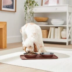 Frisco Silicone Stainless Steel Double Diner Dog & Cat Bowl, Brown -Cozy Paws 277551 PT2. AC SS1800 V1630346531
