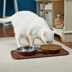 Frisco Silicone Stainless Steel Double Diner Dog & Cat Bowl, Brown -Cozy Paws 277551 PT3. AC SS1800 V1630348104