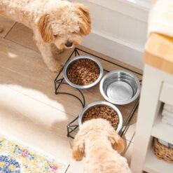 Frisco Multi Pet Feeding Corner 3-Bowls Stainless Steel Dog & Cat Bowl -Cozy Paws 277561 PT2. AC SS1800 V1630346973
