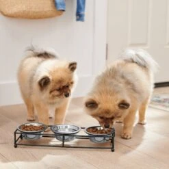 Frisco Multi Pet Feeding 3-Bowls Straight Stainless Steel Dog & Cat Bowl -Cozy Paws 277568 PT2. AC SS1800 V1630346795