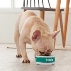 Frisco Personalized General Dog & Cat Small Dog Bowl -Cozy Paws 278924 PT3. AC SS1800 V1629147374