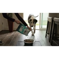 BIXBI RAWBBLE Fresh Turkey Recipe Limited Ingredient Grain-Free Dry Dog Food -Cozy Paws 280167 PT5. AC SS1800 V1615588613
