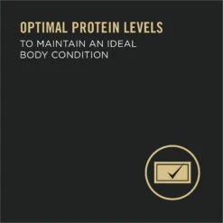 Purina Pro Plan Adult 7+ Complete Essentials Turkey & Rice Entree Wet Dog Food, 13-oz Can, Case Of 12 -Cozy Paws 280293 PT3. AC SS1800 V1615850188