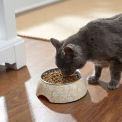 Disney Winnie The Pooh Non-Skid Stainless Steel With Melamine Stand Dog & Cat Bowl, Yellow -Cozy Paws 280632 PT3. AC SS1800 V1629986909