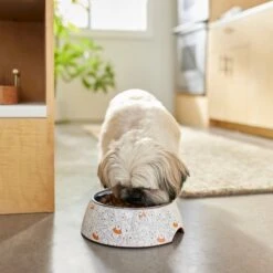 Disney Winnie The Pooh Non-Skid Stainless Steel With Melamine Stand Dog & Cat Bowl, Orange -Cozy Paws 280633 PT2. AC SS1800 V1629986748