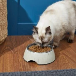 STAR WARS TIE FIGHTER Non-Skid Stainless Steel With Melamine Stand Dog & Cat Bowl -Cozy Paws 280651 PT3. AC SS1800 V1629986665