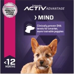 Eukanuba Puppy Small Breed Dry Dog Food -Cozy Paws 282286 PT4. AC SS1800 V1618928531