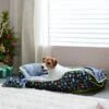 Pixar Toy Story Pet Bed & Gift Set -Cozy Paws 282426 MAIN. AC SS1800 V1631117547