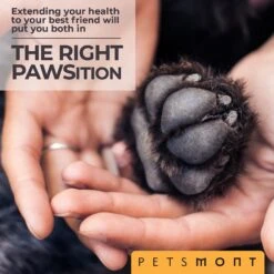 Petsmont Organic Touch & Heal Dog Paw Balm, 2-oz Jar -Cozy Paws 285009 PT4. AC SS1800 V1618963348
