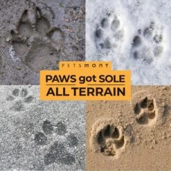 Petsmont Organic Touch & Heal Dog Paw Balm, 2-oz Jar -Cozy Paws 285009 PT5. AC SS1800 V1618962762