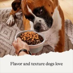 American Journey Savory Toppers Beef Recipe In Gravy Grain-Free Dog Food Topper, 3-oz Pouches, Case Of 24 -Cozy Paws 286953 PT3. AC SS1800 V1628536078