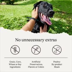 American Journey Savory Toppers Beef Recipe In Gravy Grain-Free Dog Food Topper, 3-oz Pouches, Case Of 24 -Cozy Paws 286953 PT6. AC SS1800 V1628536076