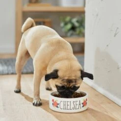 Frisco Flower Ceramic Personalized Dog Bowl -Cozy Paws 286985 PT2. AC SS1800 V1625764713