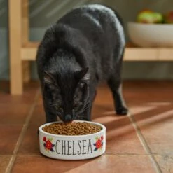 Frisco Flower Ceramic Personalized Dog Bowl -Cozy Paws 286985 PT3. AC SS1800 V1625764702