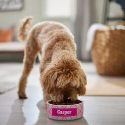 Frisco Personalized Plaid Ceramic Dog Bowl -Cozy Paws 287013 PT4. AC SS1800 V1639518088