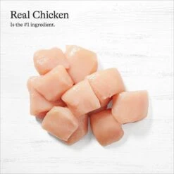 American Journey Chicken & Salmon Recipe Grain-Free Canned Dog Food -Cozy Paws 287341 PT4. AC SS1800 V1696608383