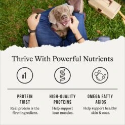 American Journey Chicken & Salmon Recipe Grain-Free Canned Dog Food -Cozy Paws 287341 PT5. AC SS1800 V1696608383