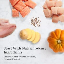 American Journey Chicken & Salmon Recipe Grain-Free Canned Dog Food -Cozy Paws 287341 PT6. AC SS1800 V1696608323