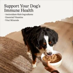 American Journey Lamb Recipe Grain-Free Canned Dog Food -Cozy Paws 287345 PT1. AC SS1800 V1694198376