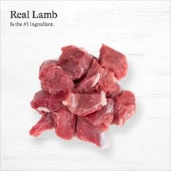 American Journey Lamb Recipe Grain-Free Canned Dog Food -Cozy Paws 287345 PT4. AC SS1800 V1696608321