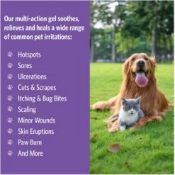 Sovereign Silver Pets First Aid Gel For Dogs & Cats, 1-oz Bottle -Cozy Paws 289051 PT4. AC SS1800 V1689626665