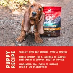 Stella & Chewy's Wild Red Raw Coated Kibble Puppy Grain-Free Prairie Recipe Dry Dog Food -Cozy Paws 291624 PT6. AC SS1800 V1645585763
