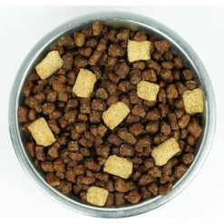 Stella & Chewy's Wild Red Raw Blend Kibble Wholesome Grains Prairie Recipe Dry Dog Food -Cozy Paws 291643 PT3. AC SS1800 V1619851340