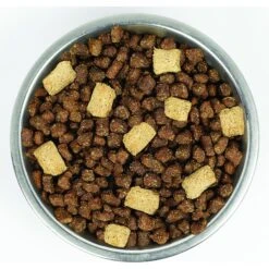 Stella & Chewy's Wild Red Raw Blend Kibble Wholesome Grains Red Meat Recipe Dry Dog Food -Cozy Paws 291647 PT4. AC SS1800 V1619849550