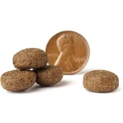 VICTOR Classic Elite Canine Dry Dog Food -Cozy Paws 291727 PT3. AC SS1800 V1677685937