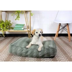 Molly Mutt Forever Young Dog Bed Duvet Cover -Cozy Paws 291778 PT1. AC SS1800 V1619850732