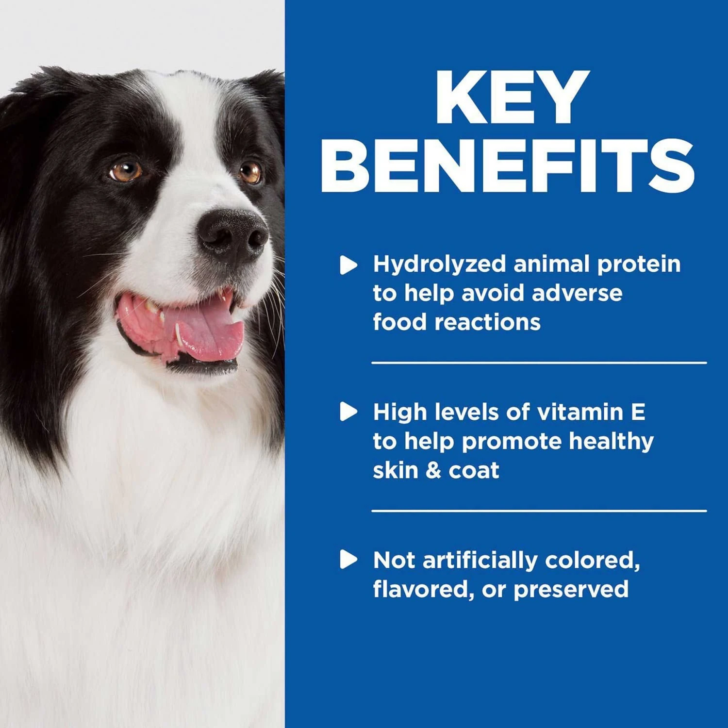 Hill's Prescription Diet Z/d Skin/Food Sensitivities Original Flavor Dry Dog Food & Hill's Prescription Diet Z/d Original Skin/Food Sensitivities Canned Dog Food 9 Hill's Prescription Diet Z/d Skin/Food Sensitivities Original Flavor Dry Dog Food & Hill's Prescription Diet Z/d Original Skin/Food Sensitivities Canned Dog Food - Image 7