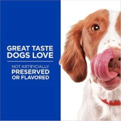 Hill's Science Diet Adult Sensitive Stomach & Sensitive Skin Chicken Recipe Dry Dog Food & Hill's Natural Soft Savories With Peanut Butter & Banana Dog Treats -Cozy Paws 293202 PT6. AC SS1800 V1639092134