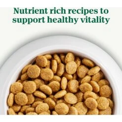 Nutro Natural Choice Large Breed Adult Chicken & Brown Rice Recipe Dry Dog Food & Nutro Hearty Stew Tender Chicken, Carrot & Pea Stew Grain-Free Canned Adult Wet Dog Food -Cozy Paws 293448 PT8. AC SS1800 V1691177413