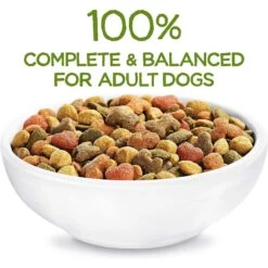 Purina Beneful Healthy Weight With Farm-Raised Chicken Dry Dog Food & Milk-Bone Original Large Biscuit Dog Treats -Cozy Paws 293512 PT3. AC SS1800 V1619977043
