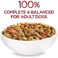 Purina Beneful Originals With Farm-Raised Beef Real Meat Dog Food & Milk-Bone Original Large Biscuit Dog Treats -Cozy Paws 293518 PT3. AC SS1800 V1620088339