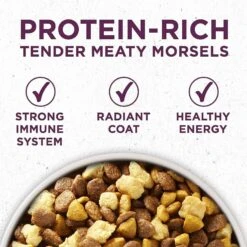 Purina ONE +Plus Natural High Protein Healthy Puppy Formula Dry Puppy Food & Wellness Soft Puppy Bites Lamb & Salmon Recipe Grain-Free Natural Dog Treats -Cozy Paws 293538 PT3. AC SS1800 V1620089536