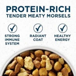 Purina ONE Natural Large Breed +Plus Formula Dry Dog Food & Milk-Bone Original Large Biscuit Dog Treats 12 Purina ONE Natural Large Breed +Plus Formula Dry Dog Food & Milk-Bone Original Large Biscuit Dog Treats -Cozy Paws 293546 PT3. AC SS1800 V1620089839
