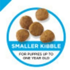 Purina Pro Plan High Protein Chicken & Rice Formula Dry Puppy Food & Wellness Soft Puppy Bites Lamb & Salmon Recipe Grain-Free Natural Dog Treats -Cozy Paws 293654 PT3. AC SS1800 V1620245833