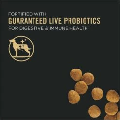 Purina Pro Plan High Protein DHA Lamb & Rice Formula Puppy Food & Wellness Soft Puppy Bites Lamb & Salmon Recipe Grain-Free Natural Dog Treats -Cozy Paws 293660 PT3. AC SS1800 V1623875585