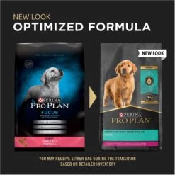 Purina Pro Plan High Protein DHA Lamb & Rice Formula Puppy Food & Wellness Soft Puppy Bites Lamb & Salmon Recipe Grain-Free Natural Dog Treats -Cozy Paws 293660 PT4. AC SS1800 V1623876496