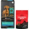 Purina Pro Plan High Protein Chicken & Rice Formula Large Breed Dry Puppy Food & American Journey Beef Recipe Grain-Free Soft & Chewy Training Bits Dog Treats