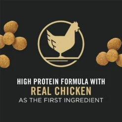 Purina Pro Plan High Protein Chicken & Rice Formula Large Breed Dry Puppy Food & American Journey Beef Recipe Grain-Free Soft & Chewy Training Bits Dog Treats -Cozy Paws 293666 PT7. AC SS1800 V1658218531