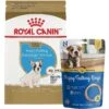 Royal Canin Breed Health Nutrition French Bulldog Puppy Dry Dog Food & N-Bone Puppy Teething Ring Chicken Flavor Dog Treats