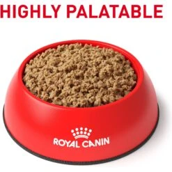 Royal Canin Veterinary Diet Adult Gastrointestinal Low Fat Loaf Canned Dog Food & Royal Canin Veterinary Diet Adult Gastrointestinal Low Fat Dry Dog Food 14 Royal Canin Veterinary Diet Adult Gastrointestinal Low Fat Loaf Canned Dog Food & Royal Canin Veterinary Diet Adult Gastrointestinal Low Fat Dry Dog Food -Cozy Paws 293818 PT3. AC SS1800 V1694097921