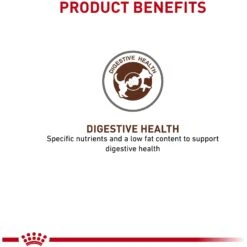 Royal Canin Veterinary Diet Adult Gastrointestinal Low Fat Dry Dog Food & Royal Canin Veterinary Diet Adult Gastrointestinal Dog Treats -Cozy Paws 293820 PT4. AC SS1800 V1620086223