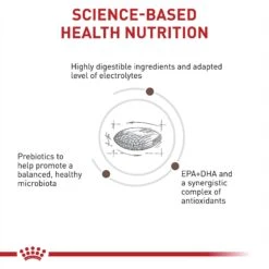 Royal Canin Veterinary Diet Adult Gastrointestinal Low Fat Dry Dog Food & Royal Canin Veterinary Diet Adult Gastrointestinal Dog Treats -Cozy Paws 293820 PT7. AC SS1800 V1694097927