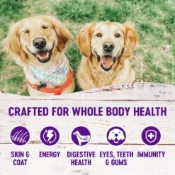 Wellness Complete Health Adult Whitefish & Sweet Potato Recipe Dry Dog Food & Wellness The Rewarding Life Lamb & Salmon Soft & Chewy Natural Dog Treats -Cozy Paws 294002 PT3. AC SS1800 V1621987738